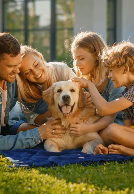 Pet-Friendly Family Life Moving to Thailand with Your Best Friend