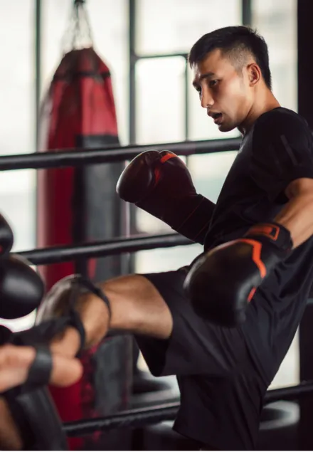 Thai Martial Arts Revealed The Art of Eight Limbs and More